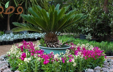 GardenBreezes