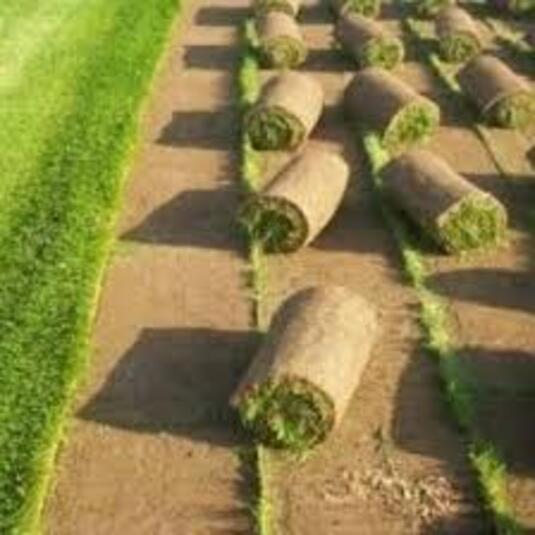 GardenBreezes