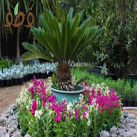 GardenBreezes